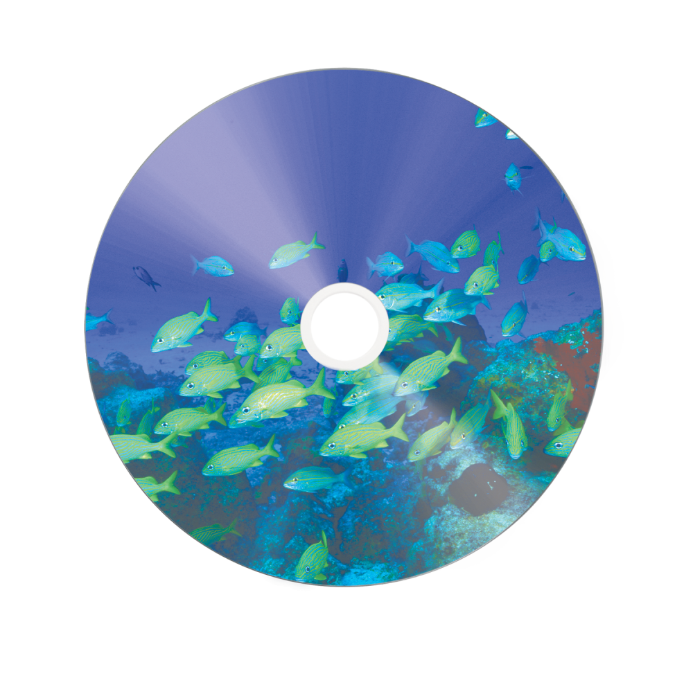 CD-R Wide Silver Inkjet Printable No ID Brand