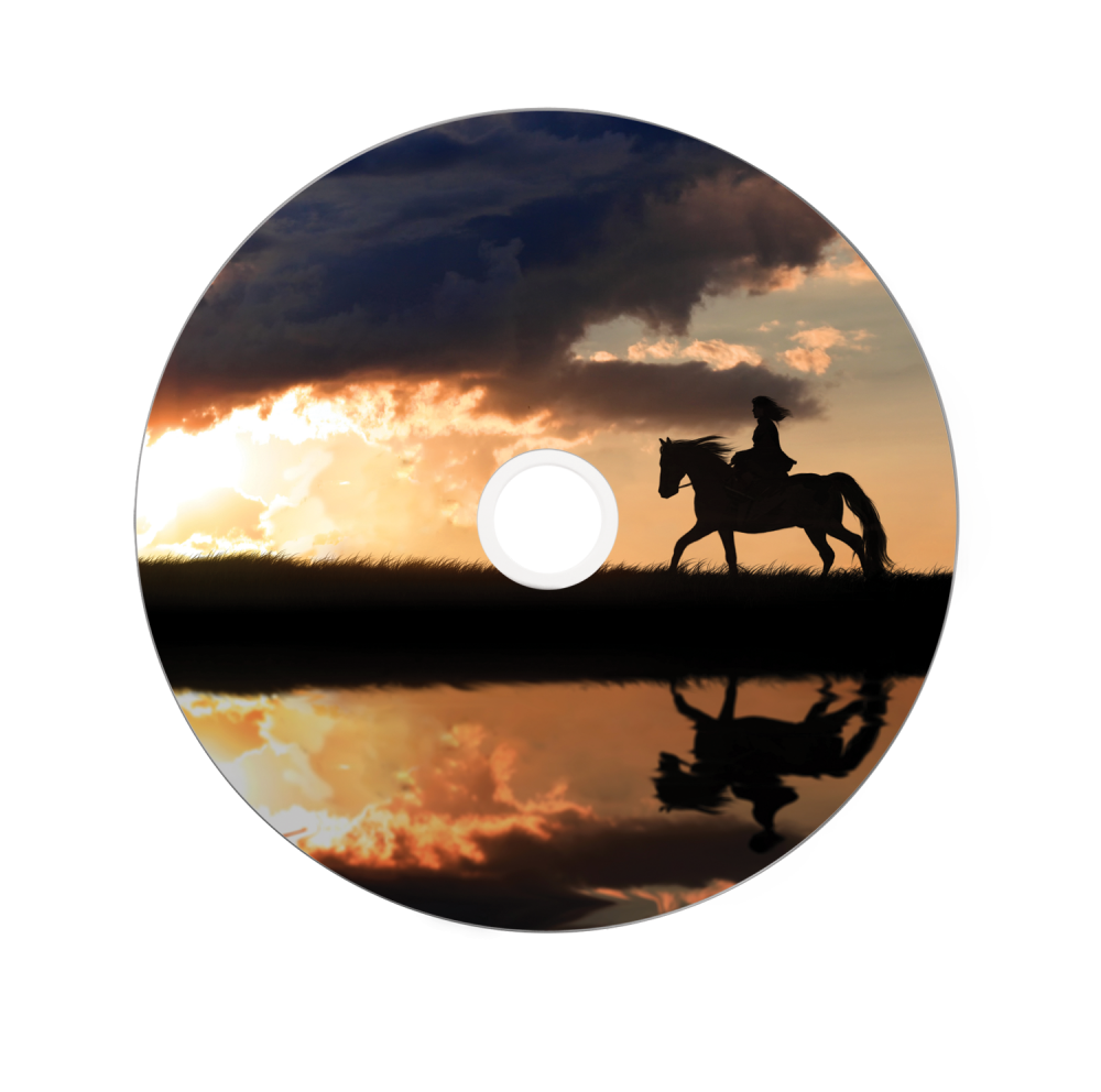 DVD+R Double Layer Wide Inkjet Printable