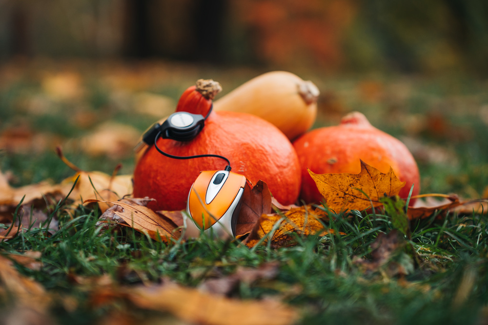 Verbatim Lifestyle pictures Autumn Shooting 49023 AB 2