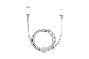 Lightning Stainless Steel Sync and Charge Cables